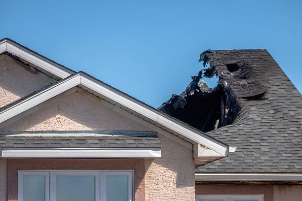 Licensed Fire Damage Removal service in Darwin, MN - Fire Damage Laser Cleaning